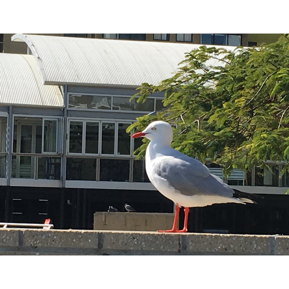 Person with background