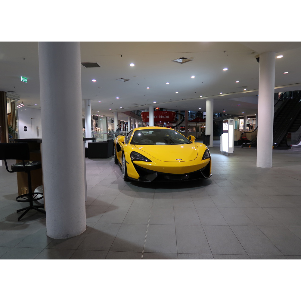 Animal with background